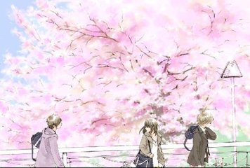 spa 男技师 舒服
